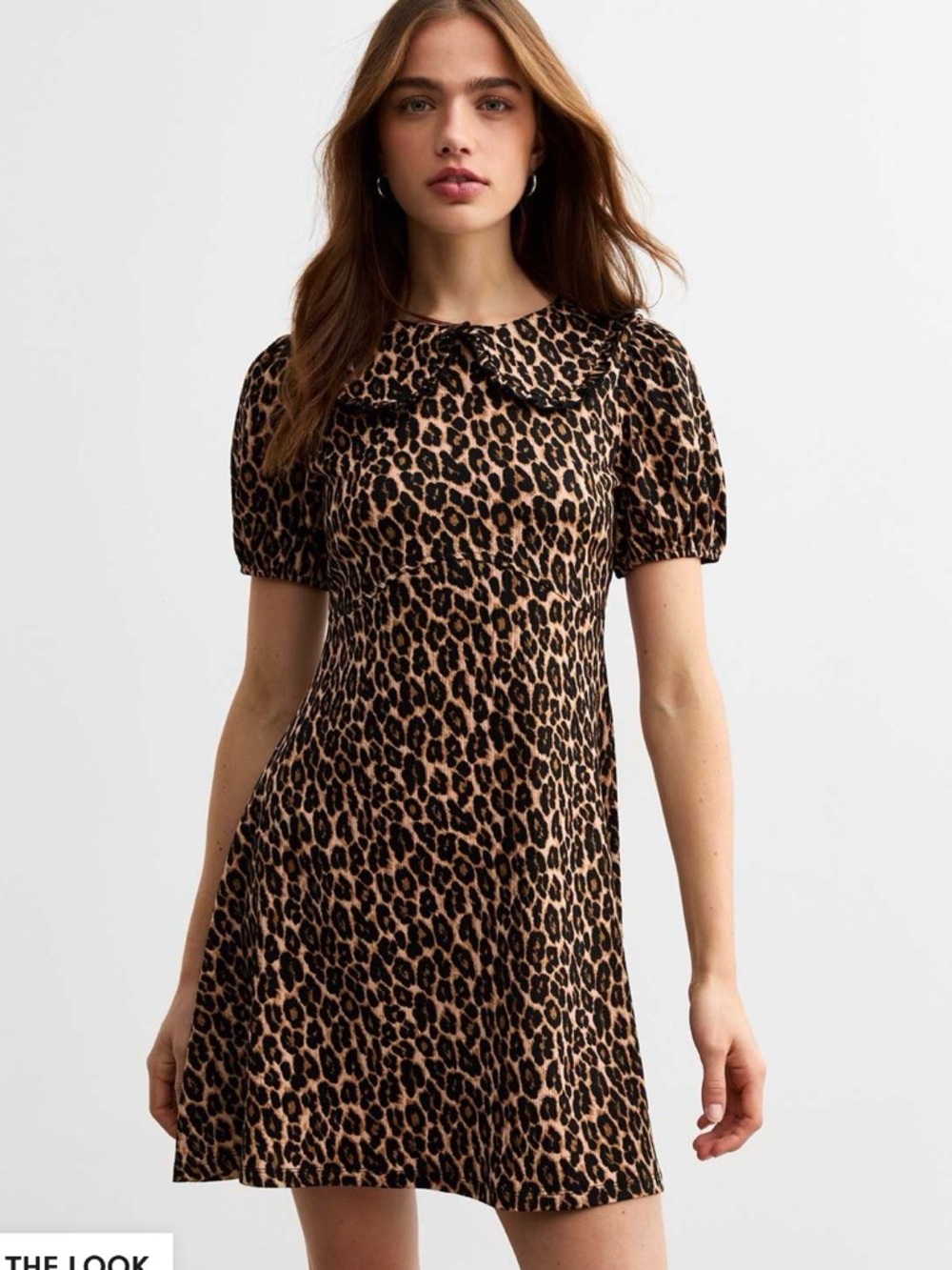 ISO DO NOT PURCHASE ~ New Look Leopard Print Peter Pan Collar Mini Dress